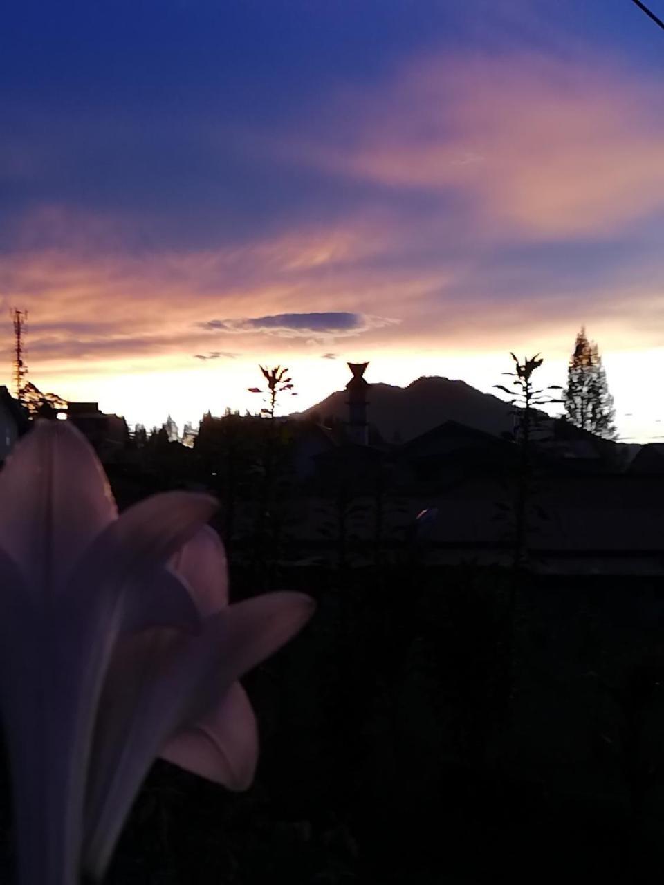 Smiley'S Homestay เบอราสตากี ภายนอก รูปภาพ